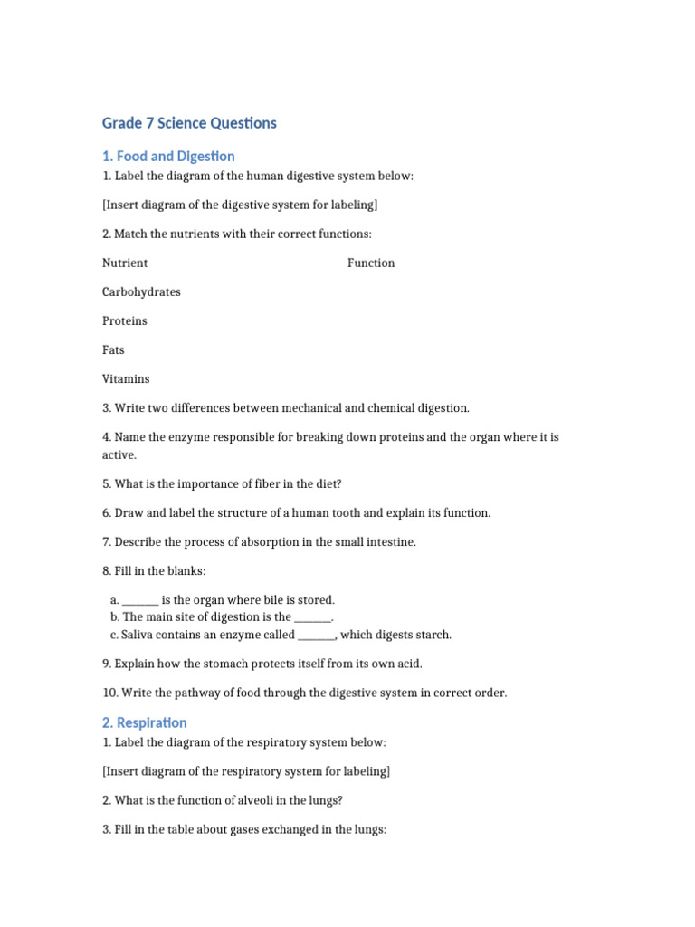 Grade 7 Science Questions Overview | PDF | Respiratory System | Digestion