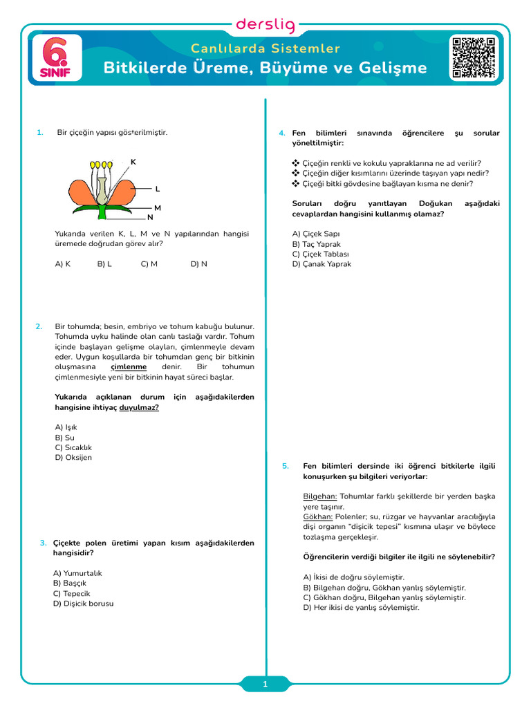 Bitkilerde Ureme Buyume Ve Gelisme | PDF