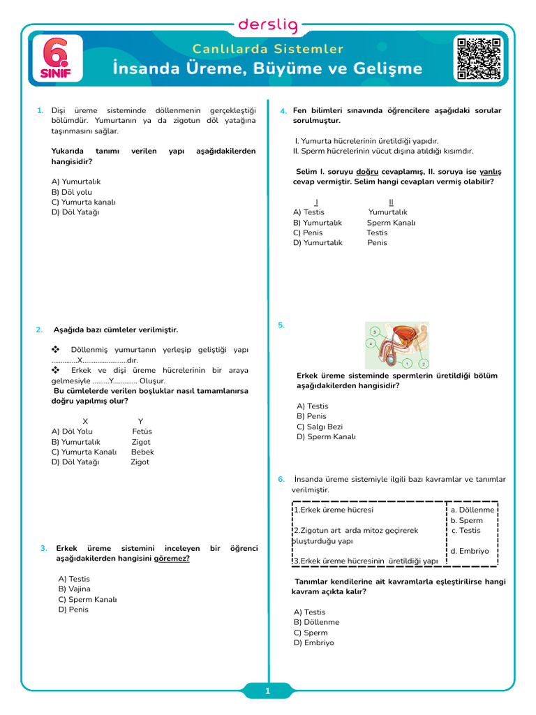 Insanda Ureme Buyume Ve Gelisme | PDF
