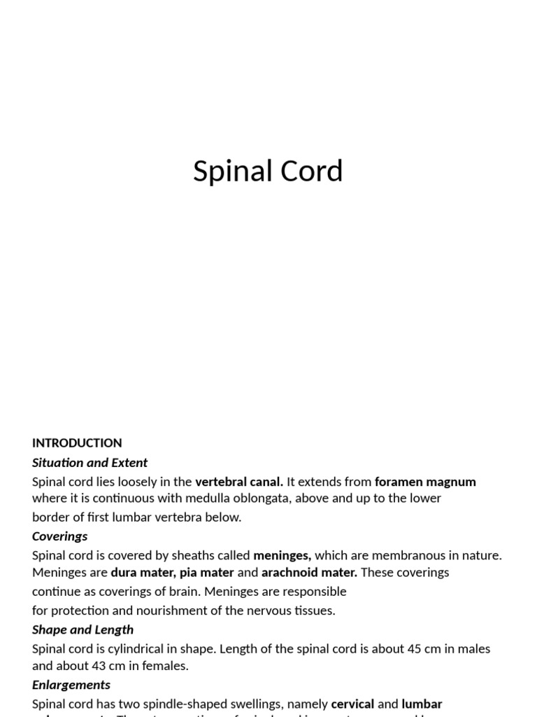 Anatomy and Functions of the Spinal Cord | PDF | Spinal Cord | Human ...