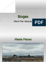 Biogas