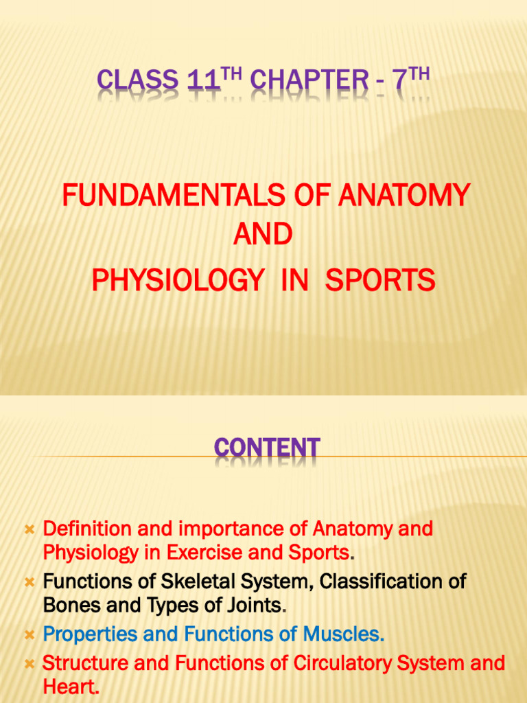 Anatomy and Physiology in Sports | PDF | Respiratory Tract | Atrium (Heart)
