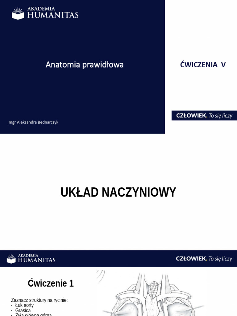 ĆW v Anatomia Prawidłowa Convert+(2) | PDF