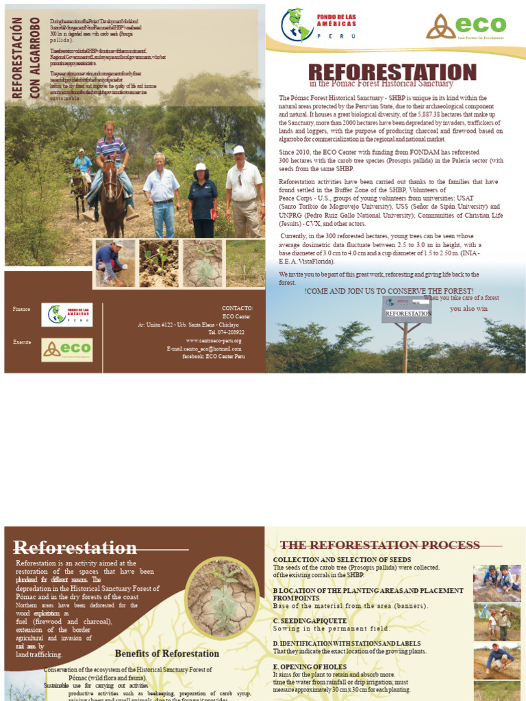 Final Brochure - Reforestation | PDF | Soil | Sowing