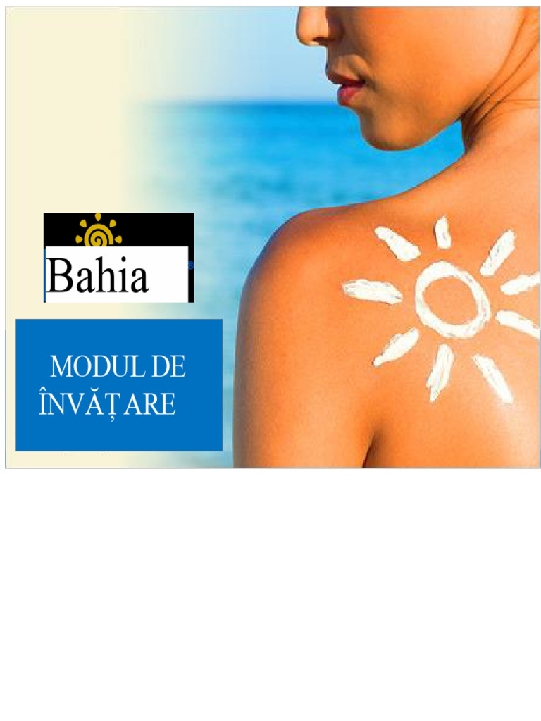 BAIE | PDF