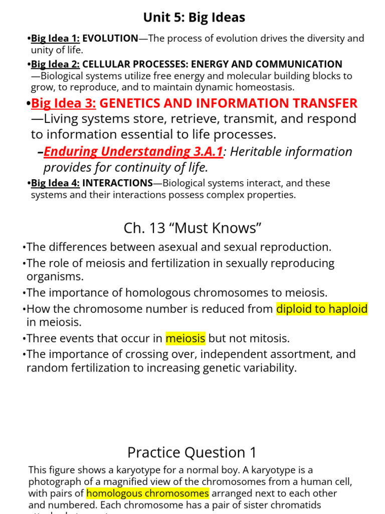 Key Concepts of Meiosis and Genetics | PDF