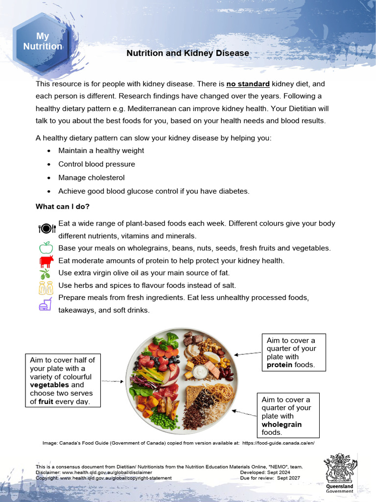 Renal Nutrition Kidney Disease | PDF | Foods | Healthy Diet