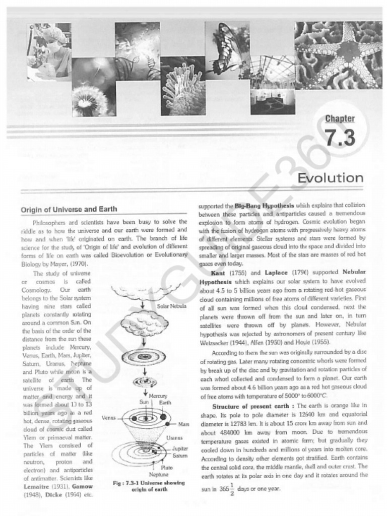 Biology Notes For Neet Chapter 7.3 | PDF