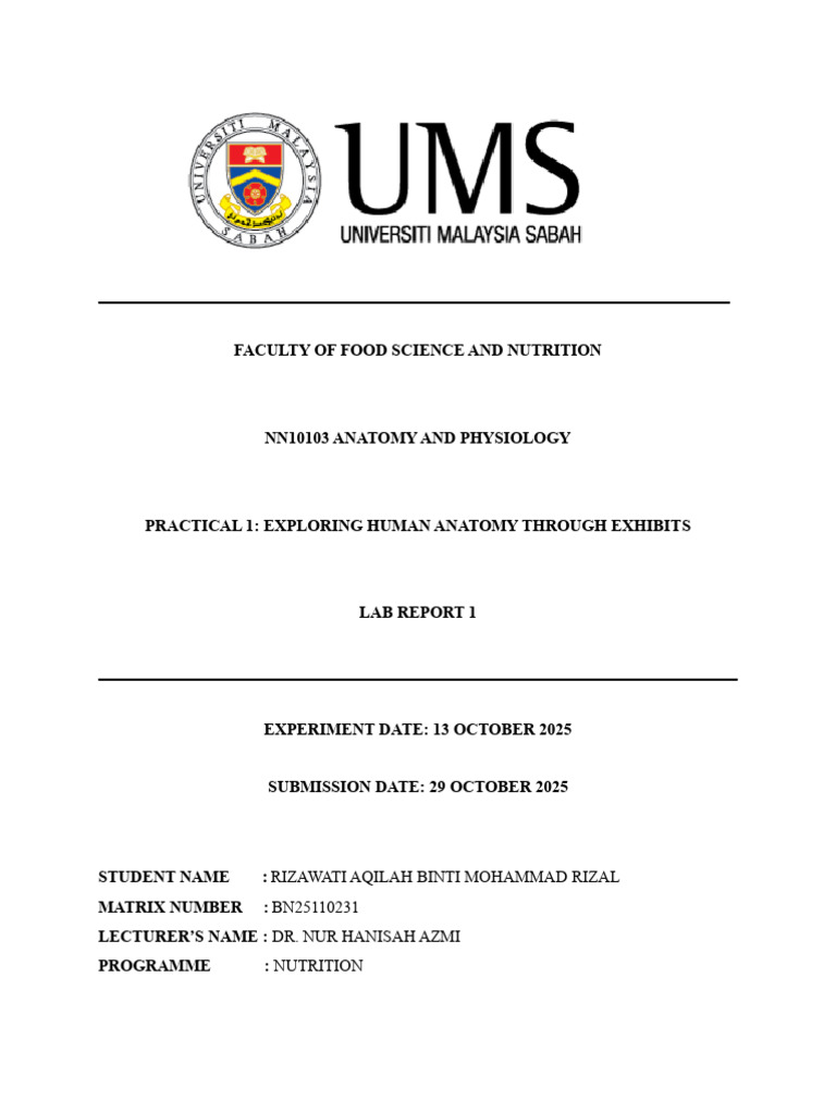 Human Anatomy Lab Report Overview | PDF | Liver | Nutrition