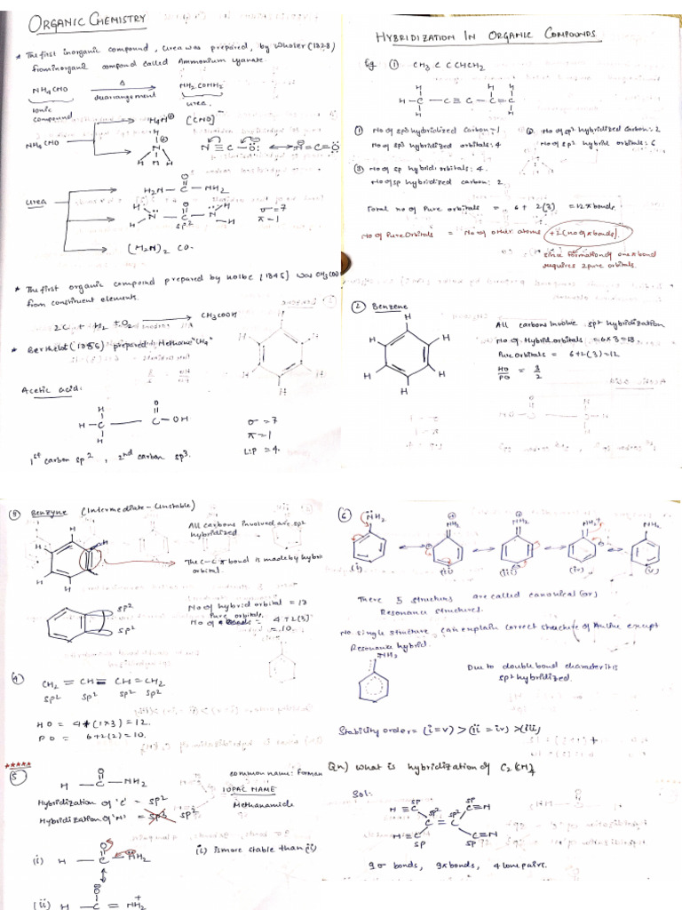 PDF Notes Organic Chem | PDF