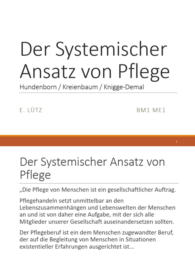 Systemischer Ansatz Von Pflege | PDF