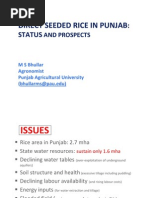 Direct Seeded Rice in Punjab - Status and Prospects - M S Bhullar