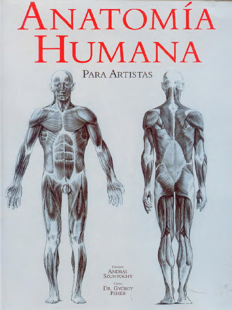 Anatomía Humana para Artistas | PDF | Mano | Hombro