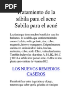 Para Que Sirve La Sabila Como Planta Medicinal