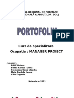 Proiect Curs Somaj