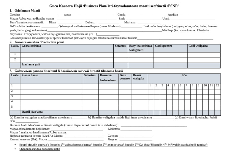 Business Plan Template For LRO and DFSA HHs - Afaan Oromo | PDF