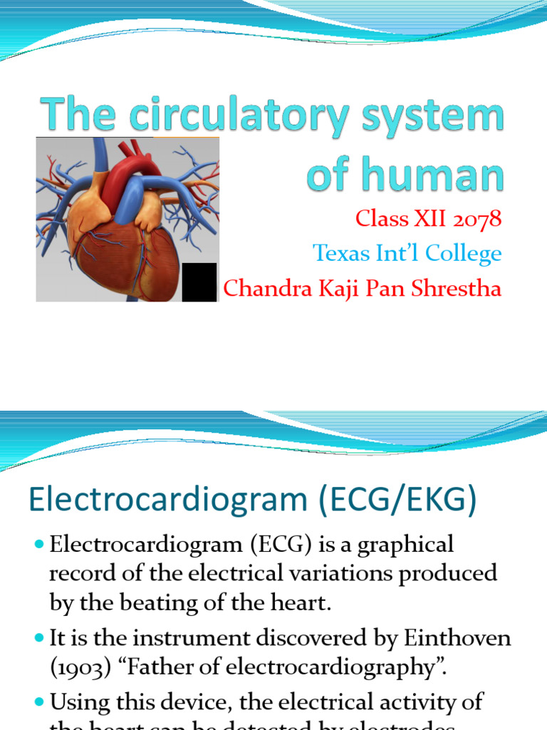 Understanding Electrocardiograms (ECG) | PDF | Electrocardiography | Heart