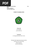 Download Suspect Pankreatitis-Ririn Megawati by Ririn Megawati SN96799747 doc pdf