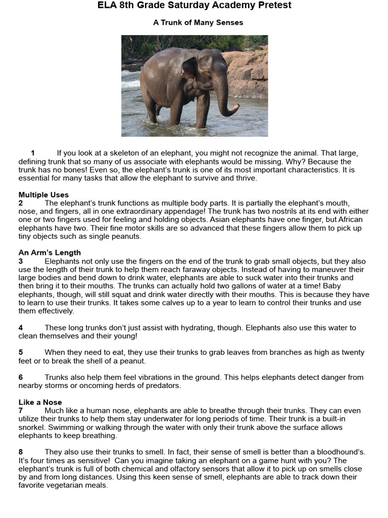 Elephant Trunk Functions Explained | PDF | Elephant | Pizza