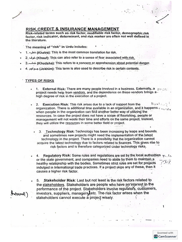 Credit and Risk Notes | PDF
