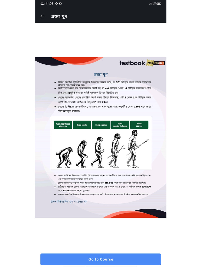 History | PDF