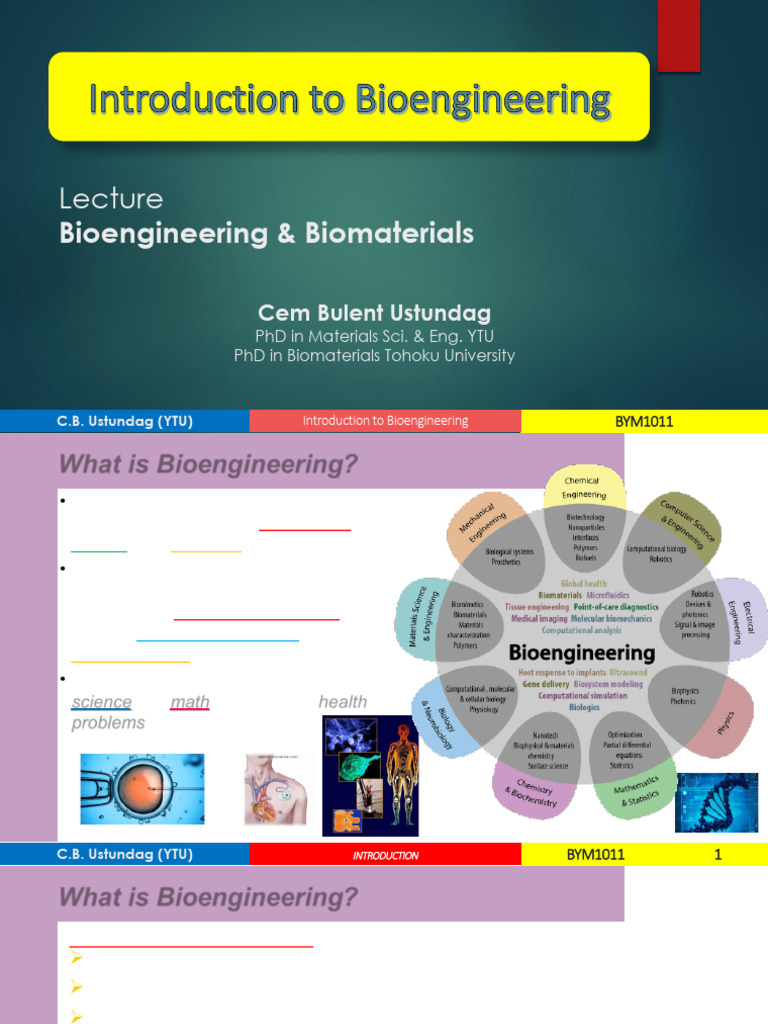 Introduction to Bioengineering Basics | PDF | Biomaterial | Biomedical ...