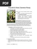 Download Penyakit Pada Pisang FITOPATOLOGI by melanie87 SN9680561 doc pdf