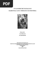 Download Resume Mamalogi Tentang Marsupial by melanie87 SN9680576 doc pdf