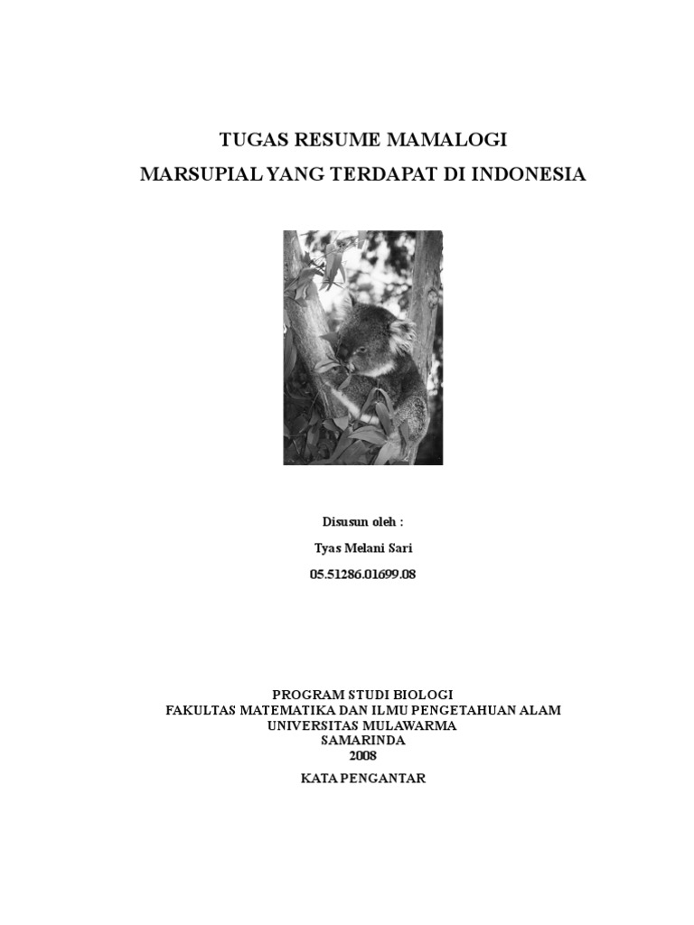 Resume Mamalogi Tentang Marsupial