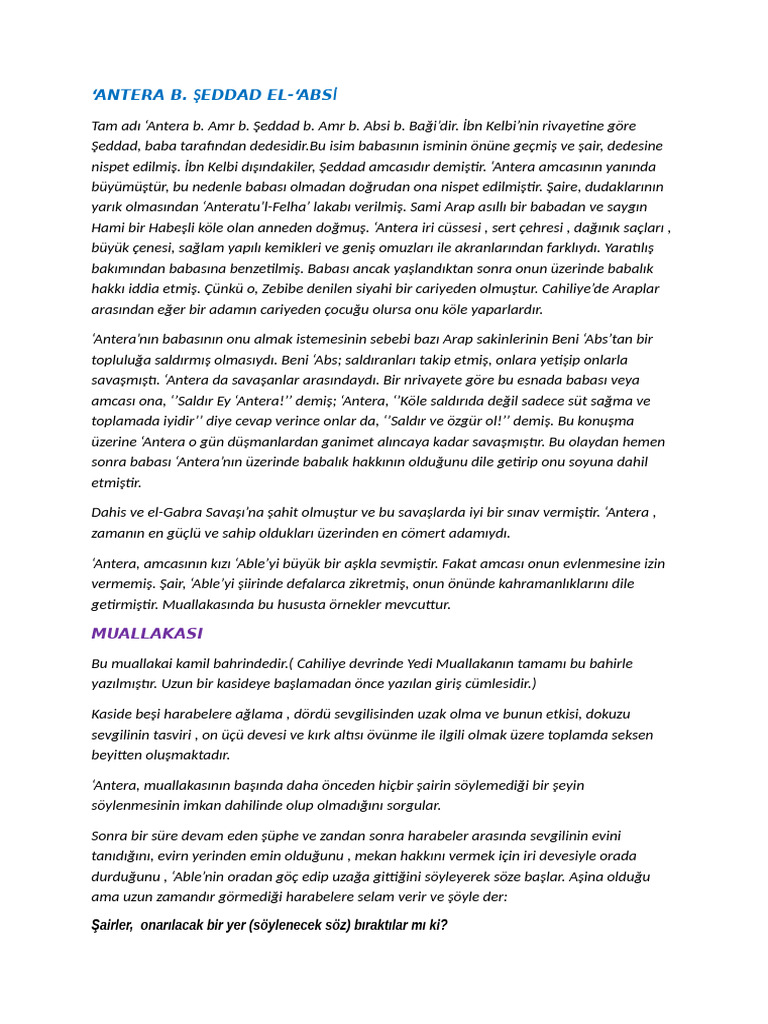 ANTERA B | PDF
