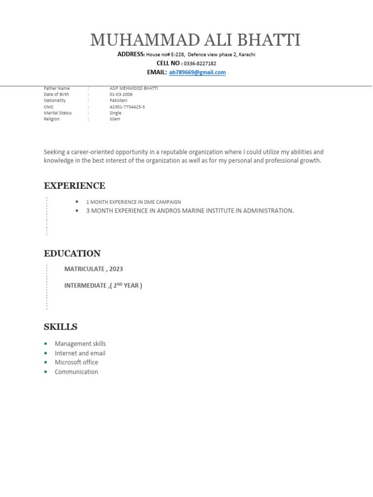 ali cv | PDF
