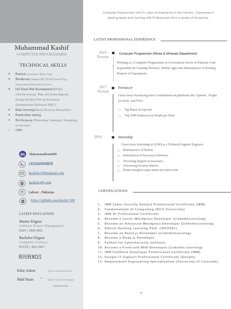 Computer Programmer with 5+ Years Experience | PDF | Software ...