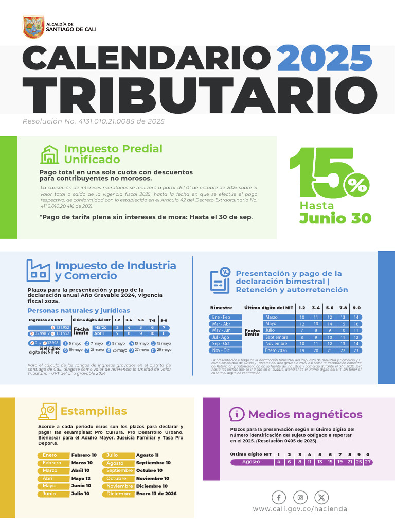 Plazos de Declaración y Pago 2025 | PDF