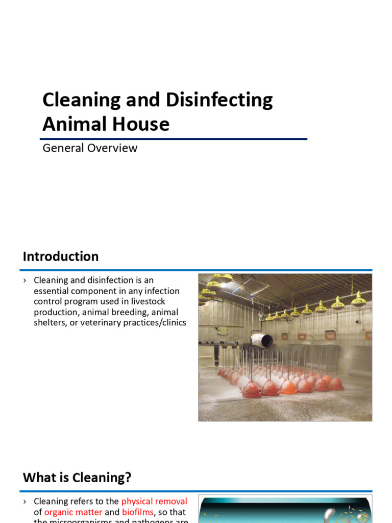 Animal House Cleaning & Disinfection Guide | PDF | Detergent | Disinfectant