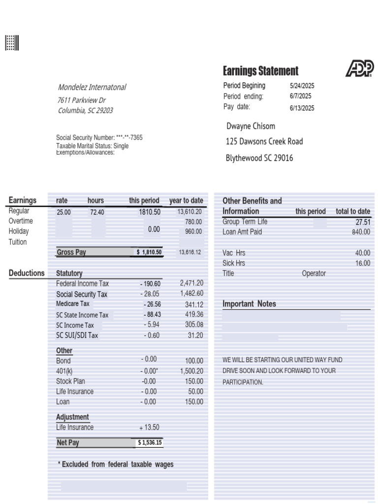 Earnings Statement Summary | PDF