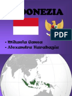 Indonezia (2)