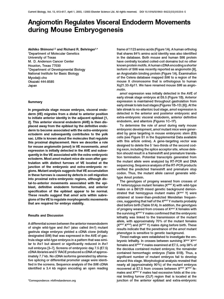 Angiomotin Regulates Visceral Endoderm Movements d | PDF | Zygosity ...
