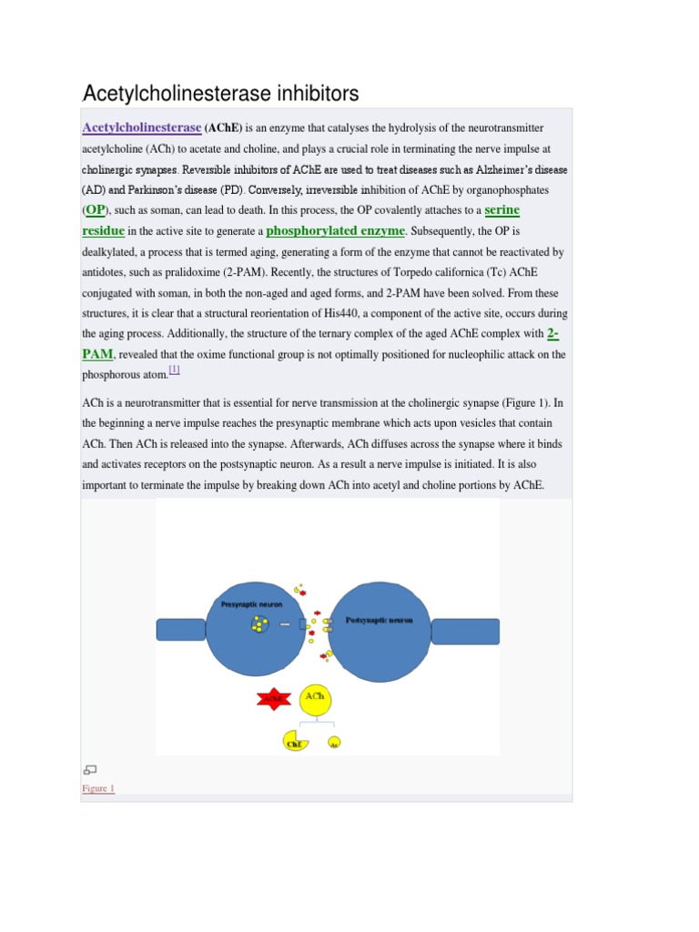 Acetylcholinesterase Inhibitors Acetylcholine Enzyme Inhibitor