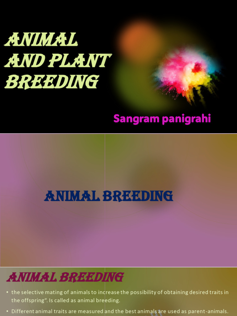 Animal and Plant Breeding Techniques | PDF | Plant Breeding | Agriculture