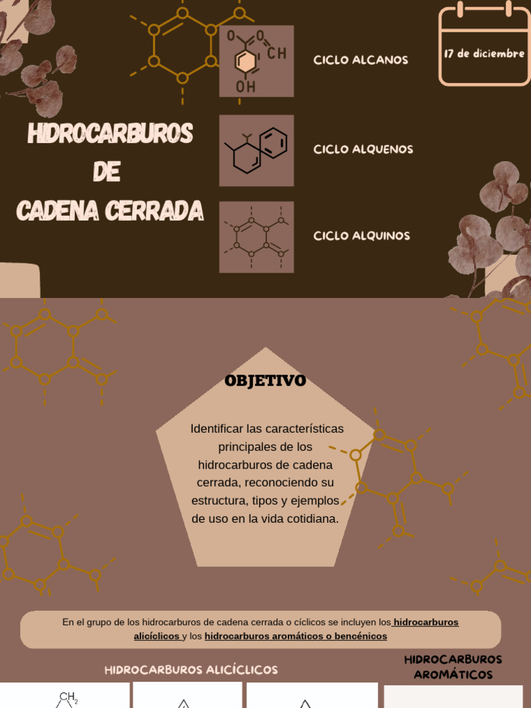 Hidrocarburos Cíclicos: Tipos y Nomenclatura | PDF | Hidrocarburos ...