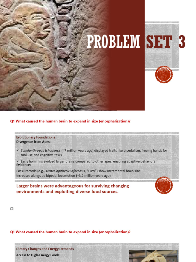 Human Brain Expansion and Tool Evolution | PDF | Paleolithic | Human