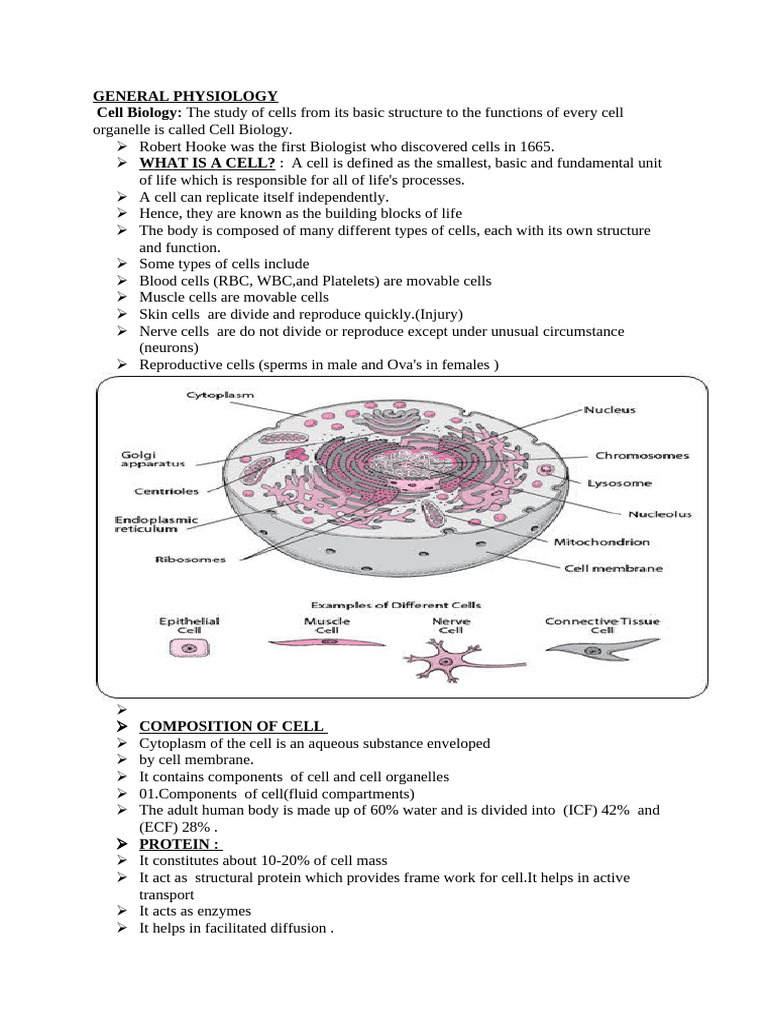 Notes GP Nursing For Physiotherapy Students | PDF | Endoplasmic ...