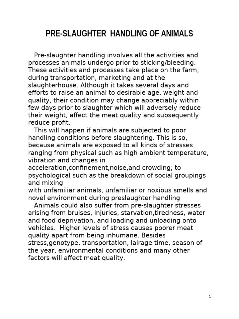 Pre-Slaughter Handling Students | PDF | Meat | Animal Slaughter