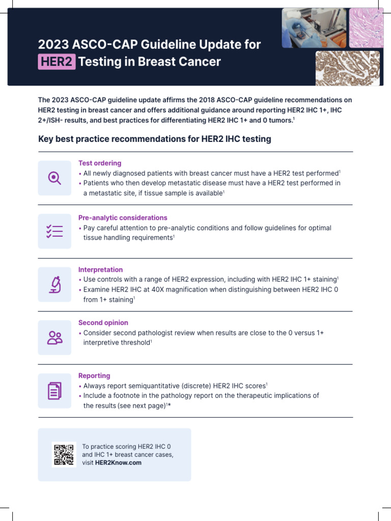2023 HER2 Testing Guidelines Update | PDF | Immunohistochemistry ...