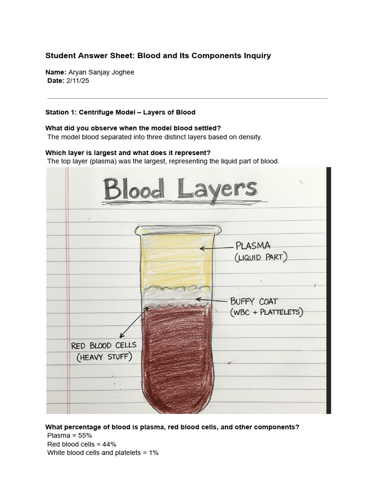 Blood Components: Structure and Function | PDF | Blood | Blood Cell