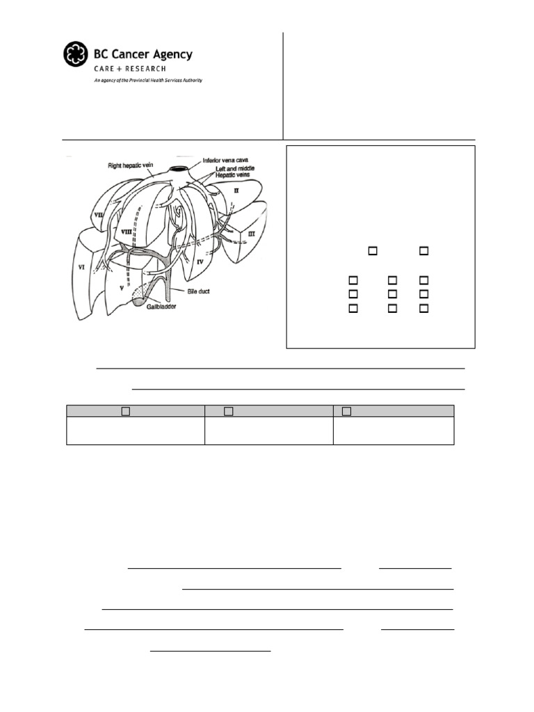 Liver Hepatocellular Carcinoma Staging Guide | PDF | Liver | Anatomy