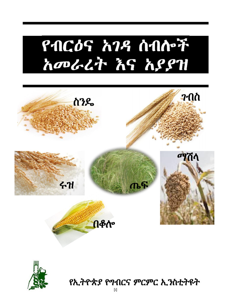 Cerial Manual | PDF