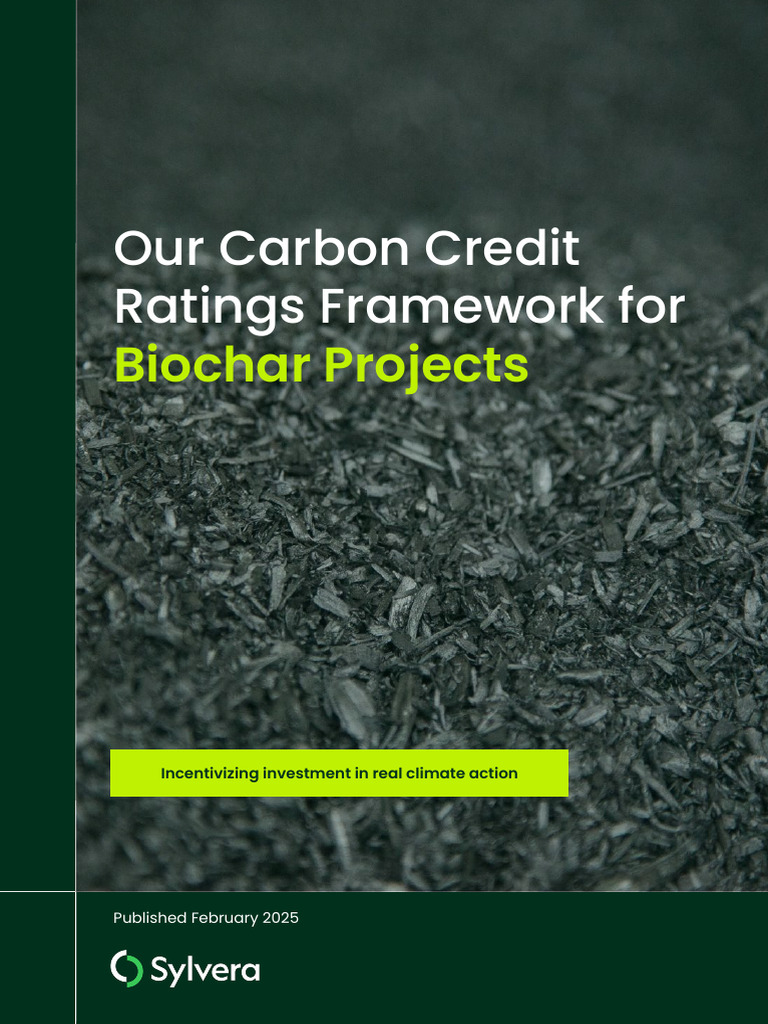 Biochar Carbon Credit Ratings Framework | PDF | Greenhouse Gas | Soil