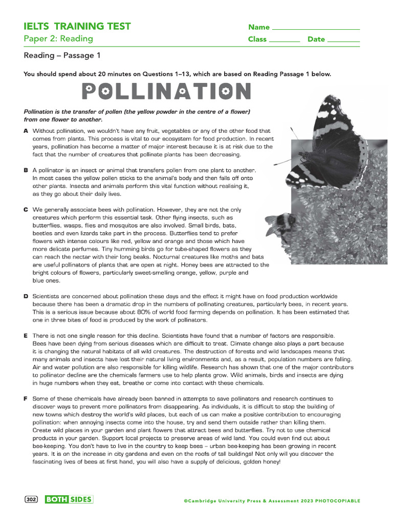 Reading | PDF