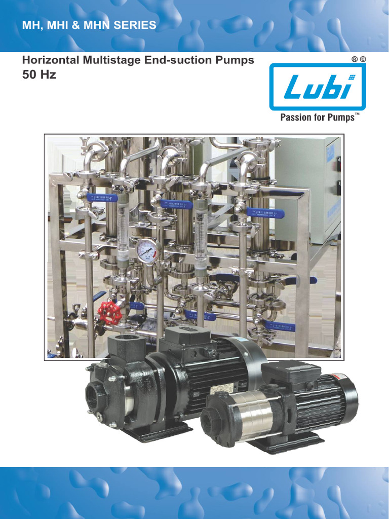 Lubi Horizontal Multistage Pumps Guide | PDF | Pump | Mechanical ...